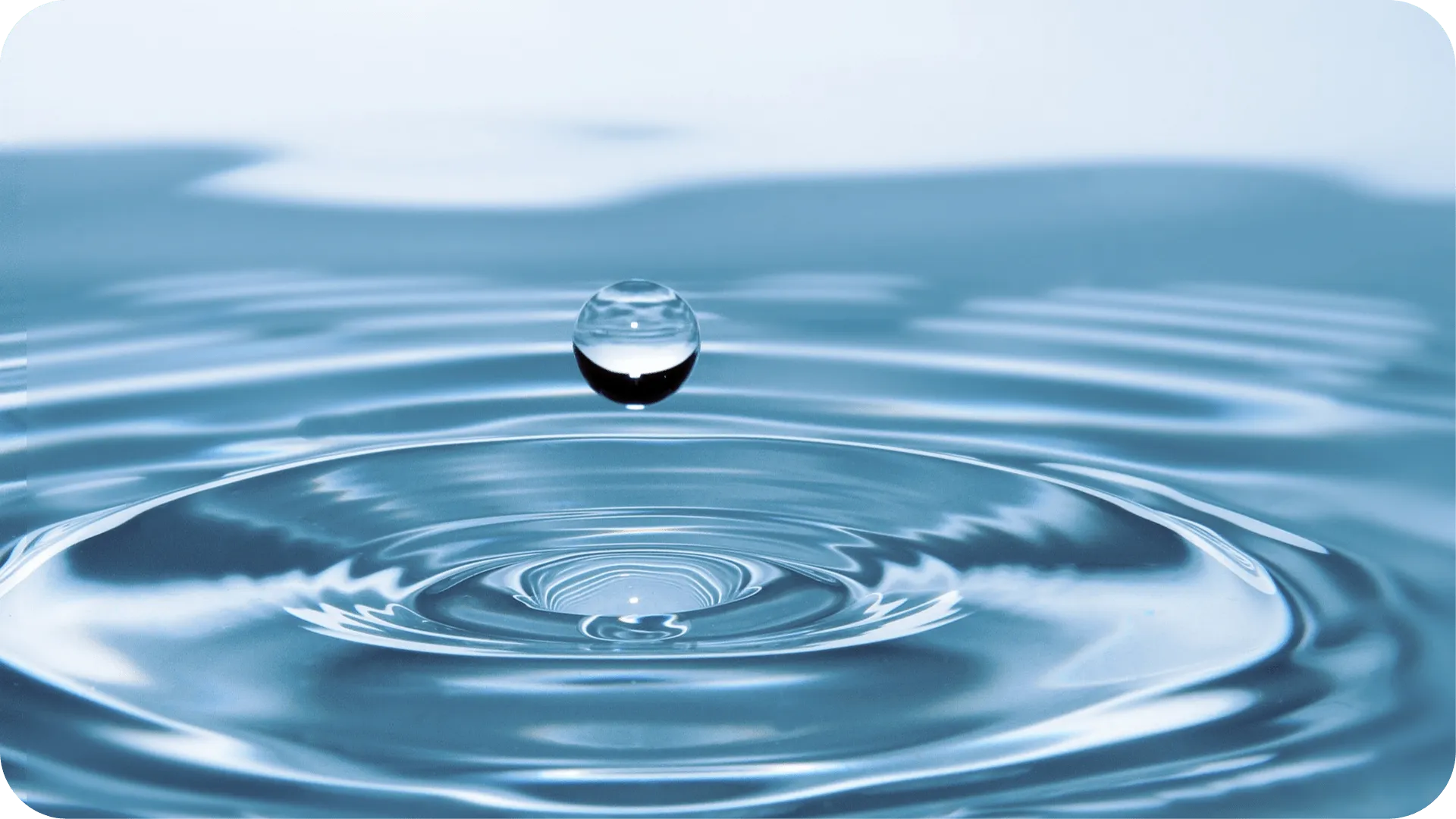 A drop of water causing a ripple on the surface.